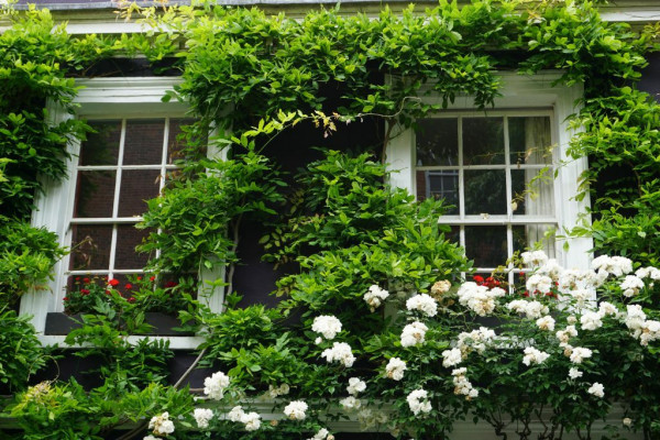 Have you been ‘catfished’ by a property?
