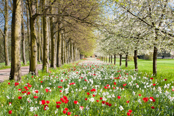 Spring Budget 2023