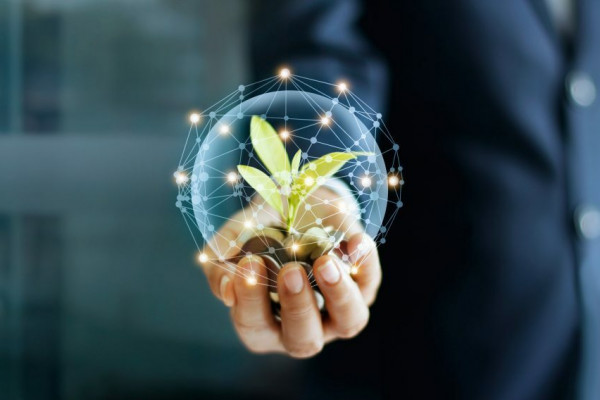 Wealth – In the news