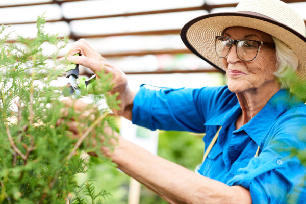 Your retirement – you reap what you sow