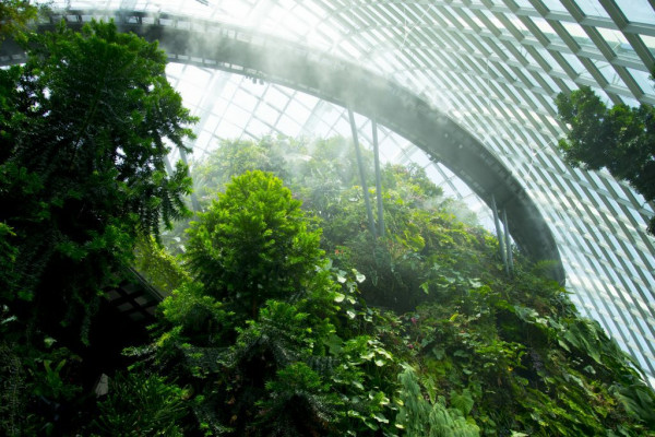 Working together to tackle the climate crisis