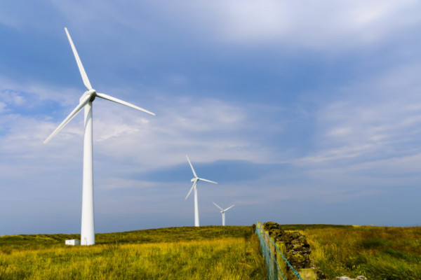 Climate disclosures top corporate agendas in 2022