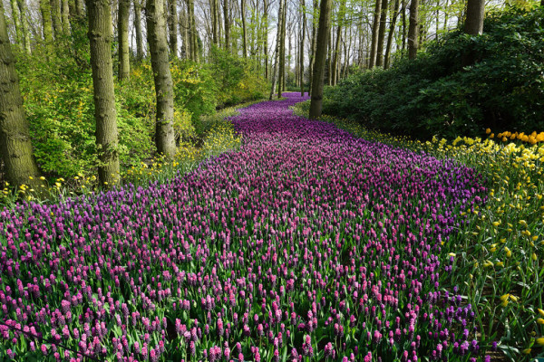Spring Forecast Statement 2022